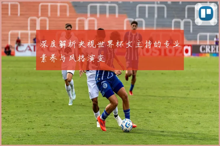 深度解析央视世界杯女主持的专业素养与风格演变